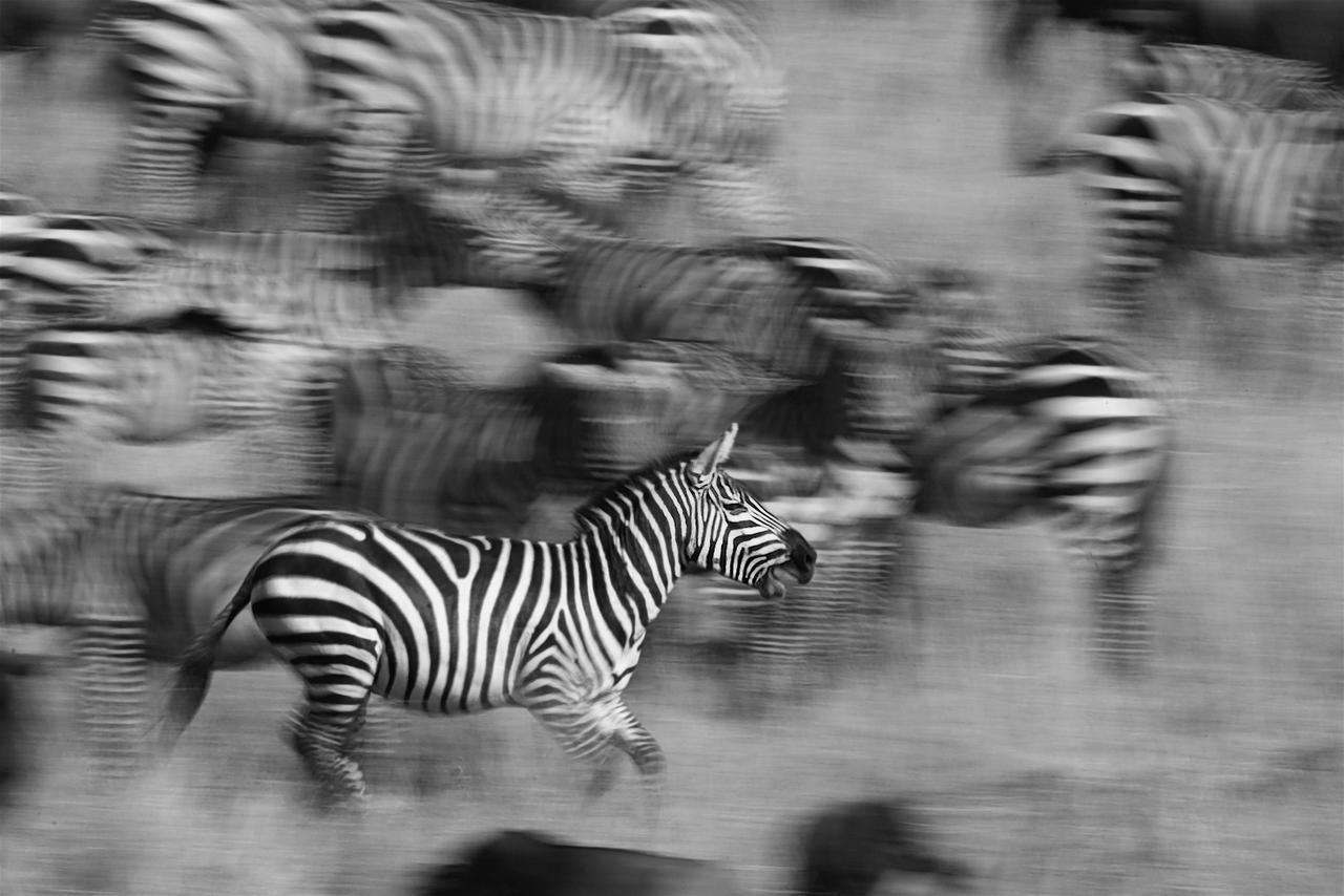 Southern Sands Eco Lodge Hoedspruit Esterno foto